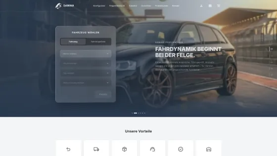 Damina Performance – Website